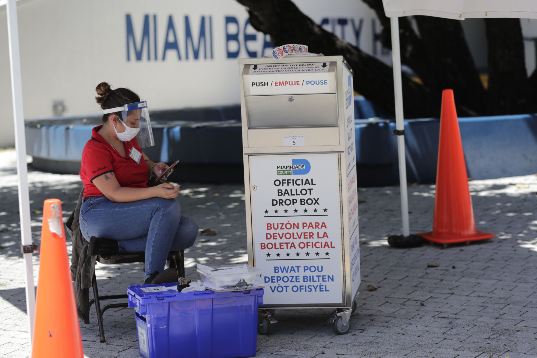 Election Early Voting Florida